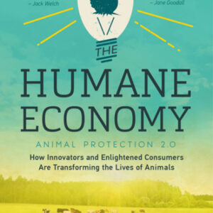 How much money can a lawyer job get you